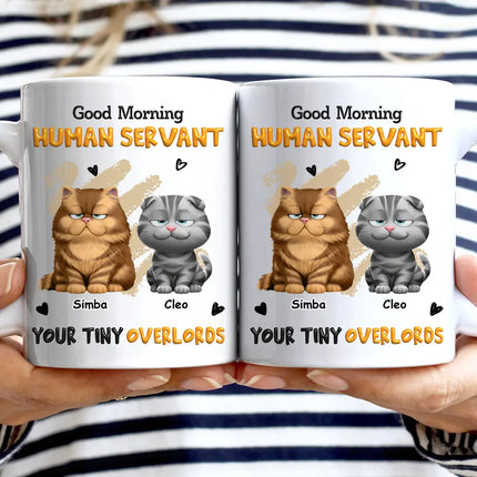 3D Effect Human Servant Your Tiny Overlord - Personalized Mug